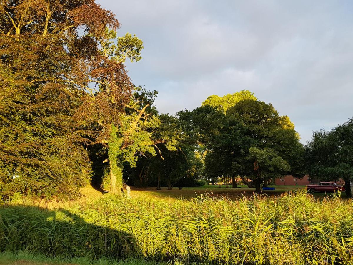 Johannes Hof Bunde エクステリア 写真